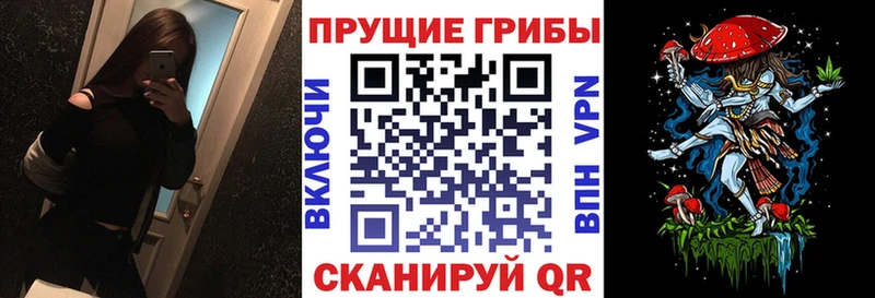 магазин    hydra   Галлюциногенные грибы GOLDEN TEACHER  Домодедово 
