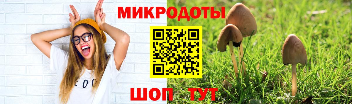 Галлюциногенные грибы Cubensis Домодедово