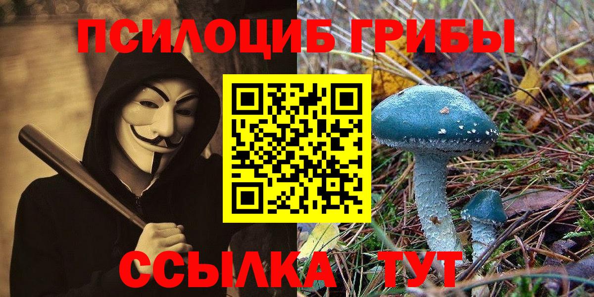 Галлюциногенные грибы ЛСД  Псилоцибиновые грибы GOLDEN TEACHER  Вход с VPN  Домодедово 